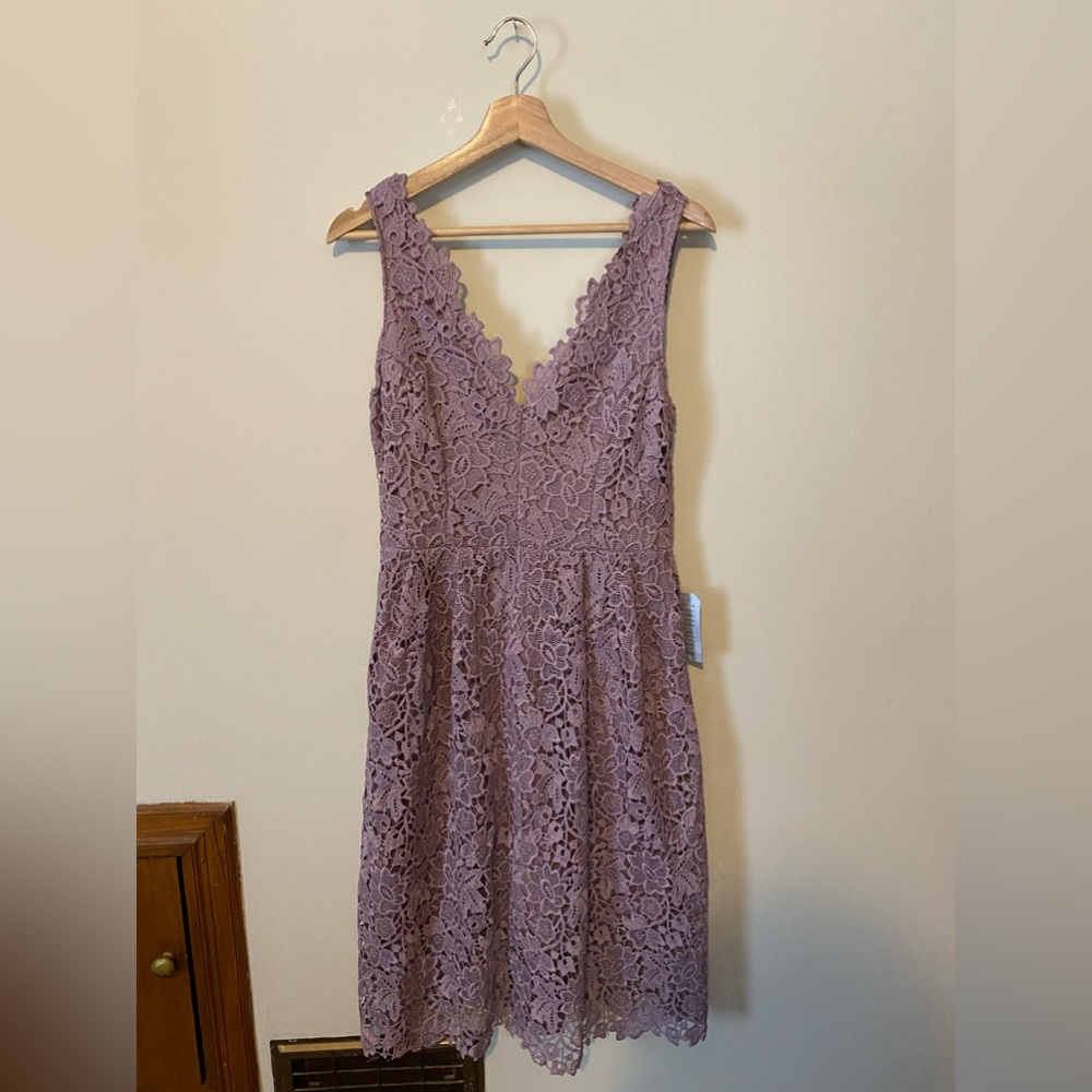 Astr the label lace midi dress size L NWT